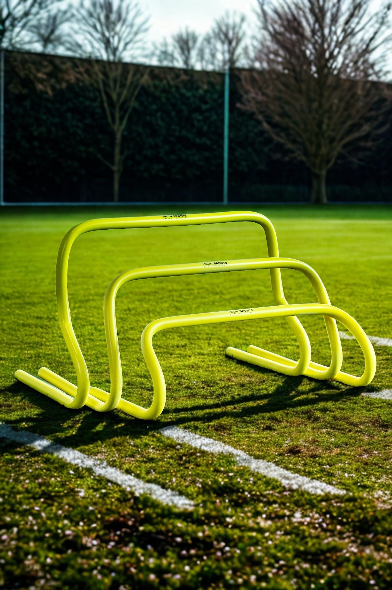 Agility Training Hurdles